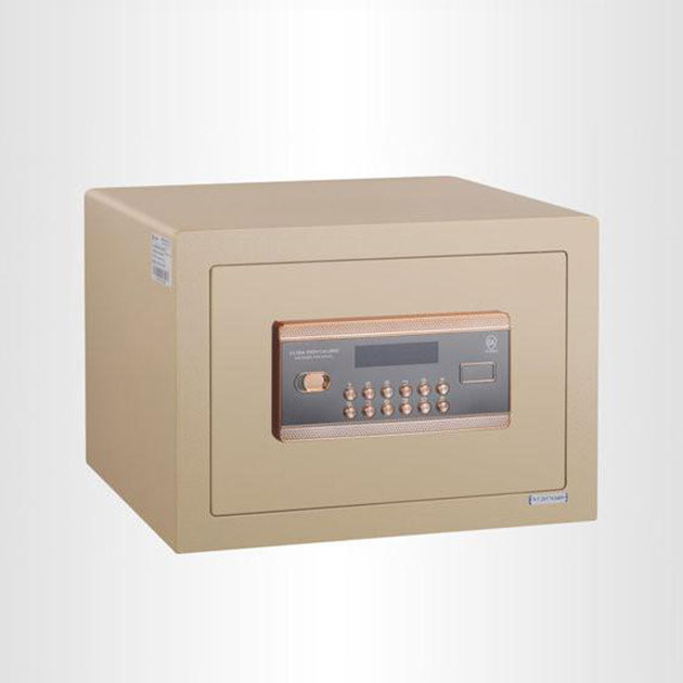 17c.免费登录入口福（fú）瑞係列電子保管箱 BGX-5/D1-30FR