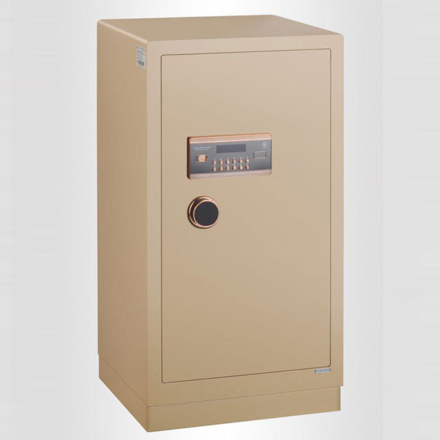 17c.免费登录入口福瑞係列（liè）電子保管箱 BGX-5/D1-100FR