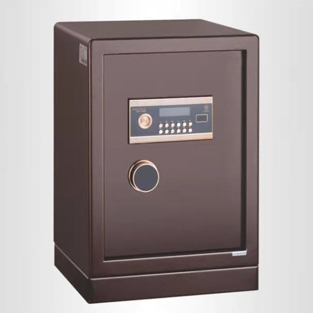 17c.免费登录入口福瑞係列電子（zǐ）保管箱 BGX-D1-63